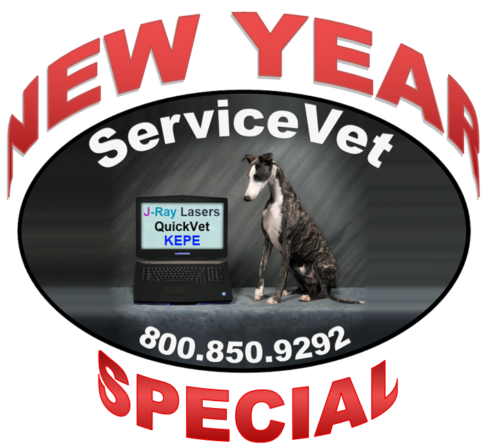 ServiceVet New Year Special