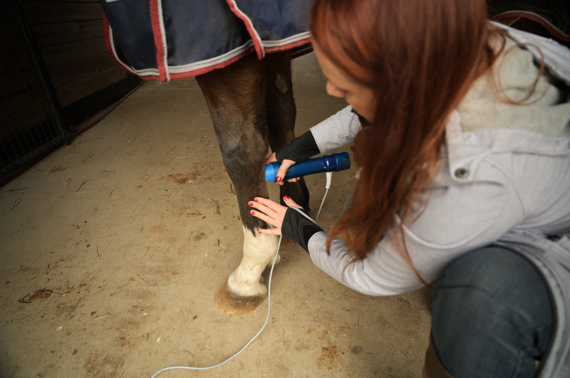 KEPE treating a horse