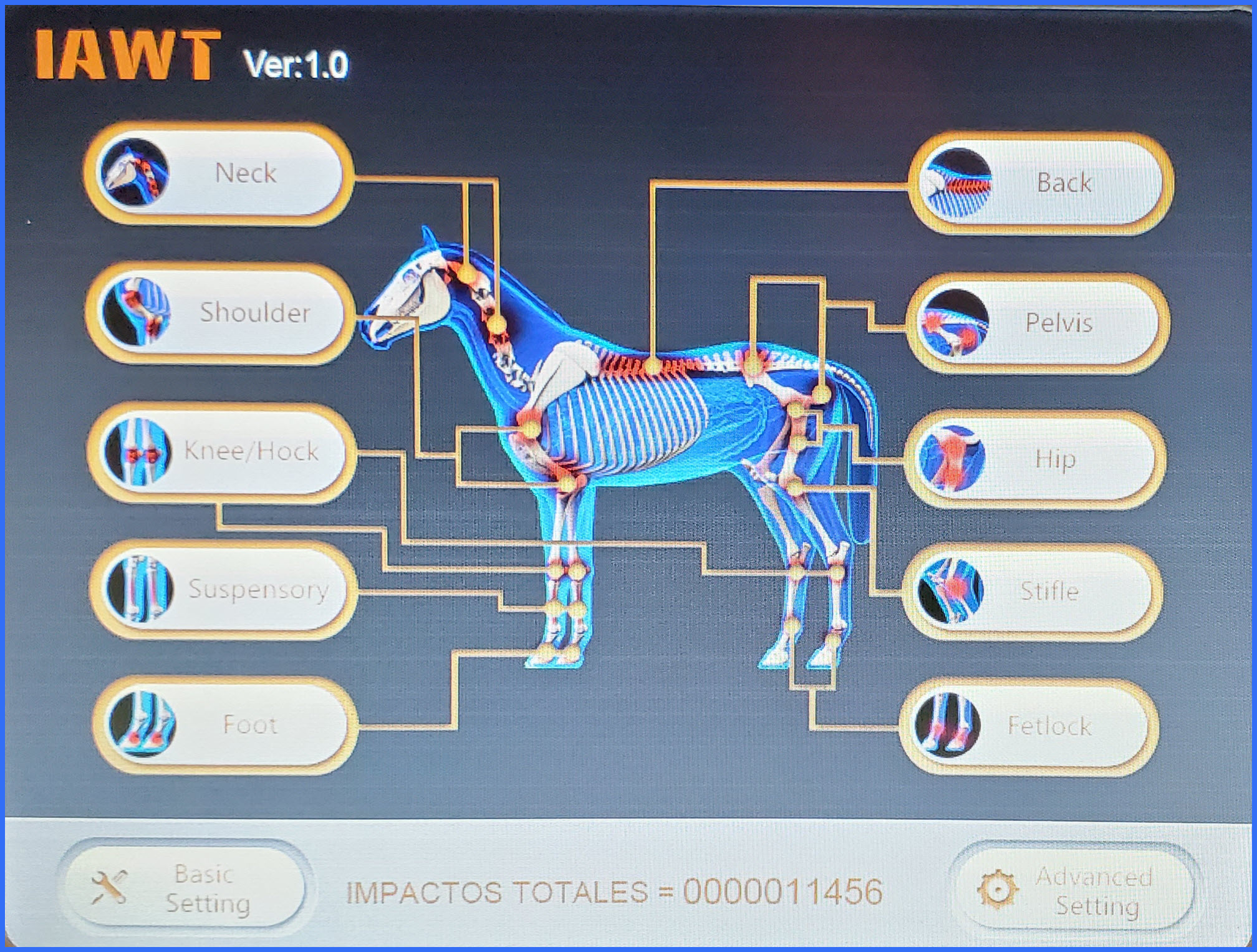 KEPE User Interface for Equine IAWT Protocols