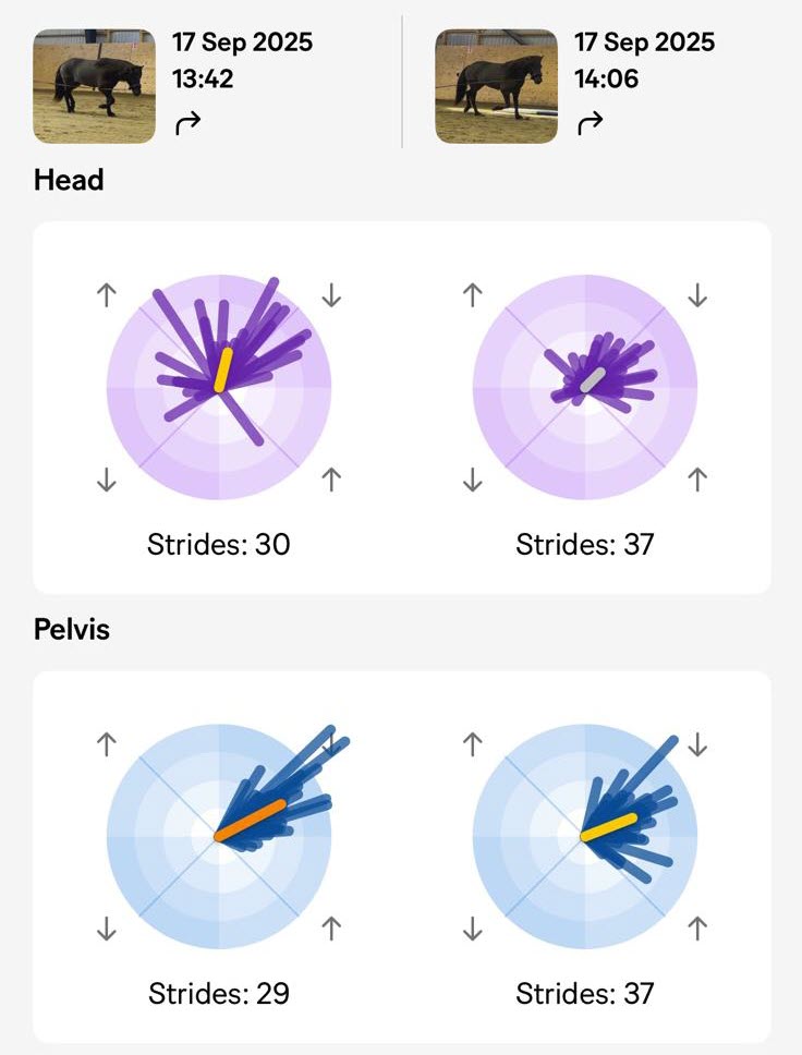 The Sleip analysis for Brod