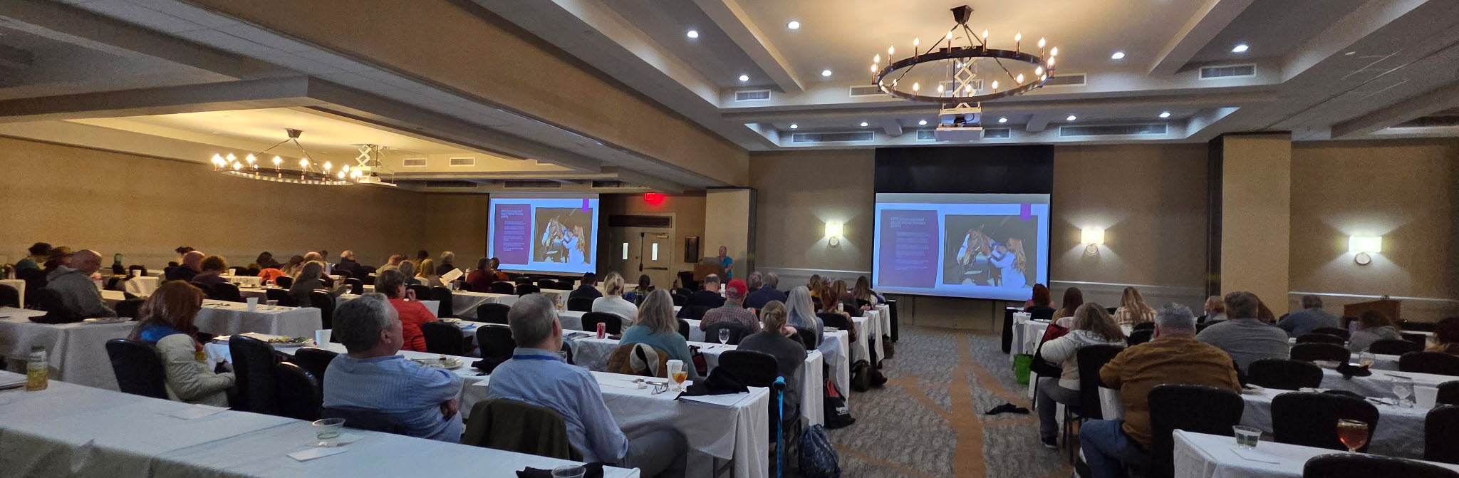 Lunch and Learn at Ralph Lee's Great Smokies Veterinary Conference